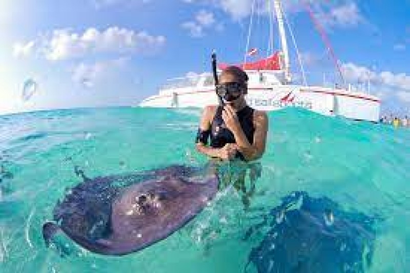 Swim with Stingrays