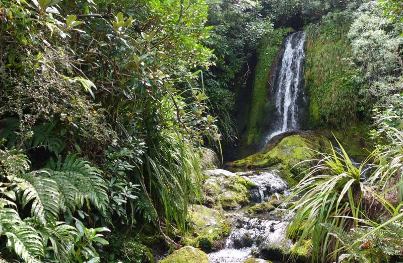 Wilkies Pools