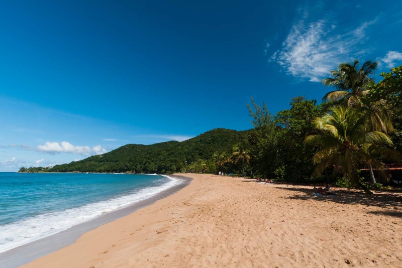 Plage de Grande Anse