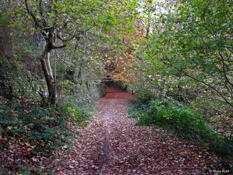 Taff Trail