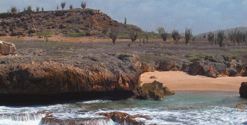 Washington-Slagbaai National Park
