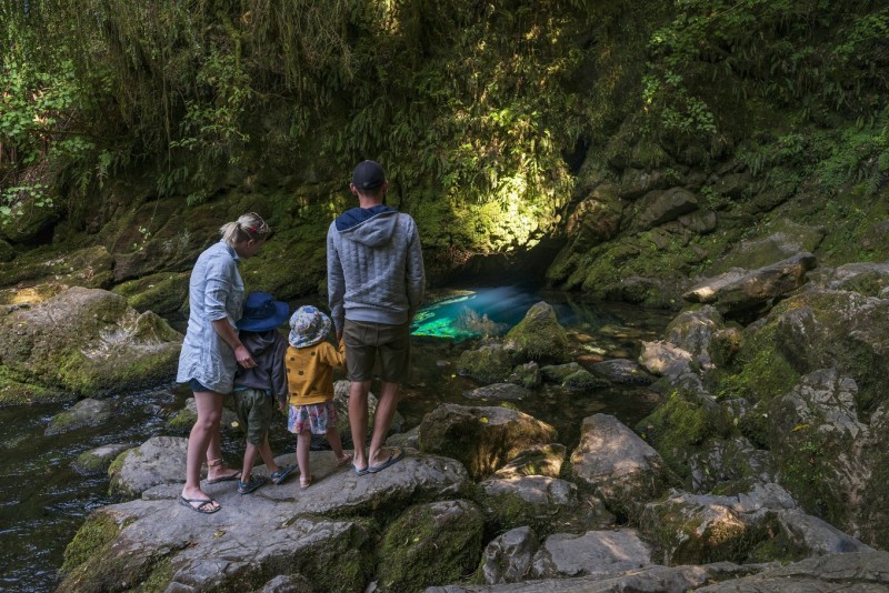 The Riwaka Resurgence