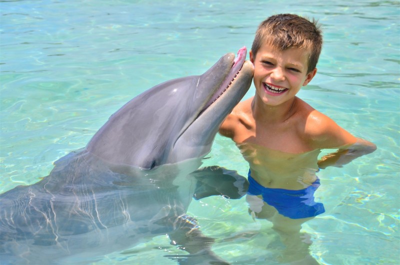 Dolphin Encounter, Roatán Institute for Marine Sciences