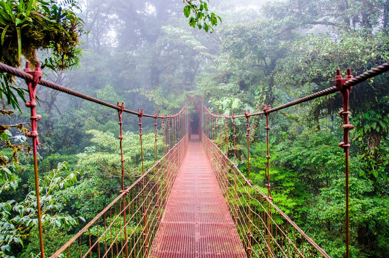 Monteverde and the Cloud Forests