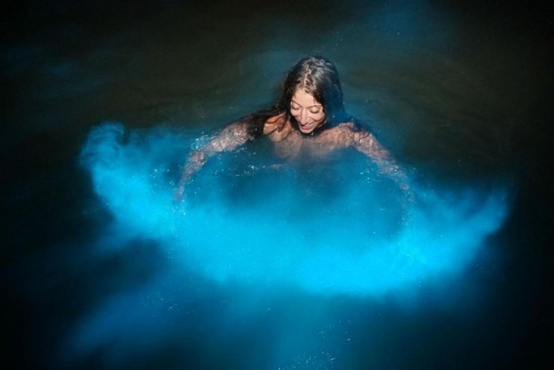 Night Swimming