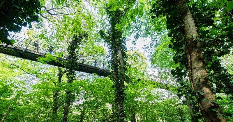 Education Forest Trail