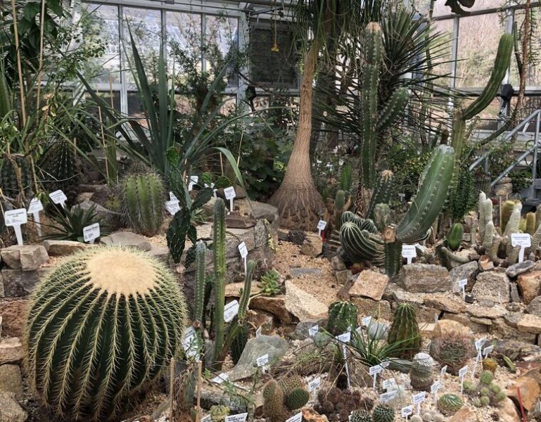 Yale Marsh Botanical Garden