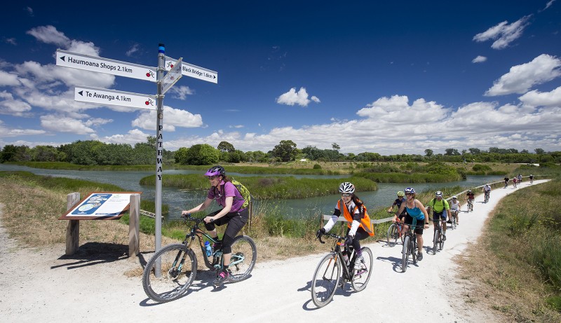Cycle the Flat and Easy-Riding