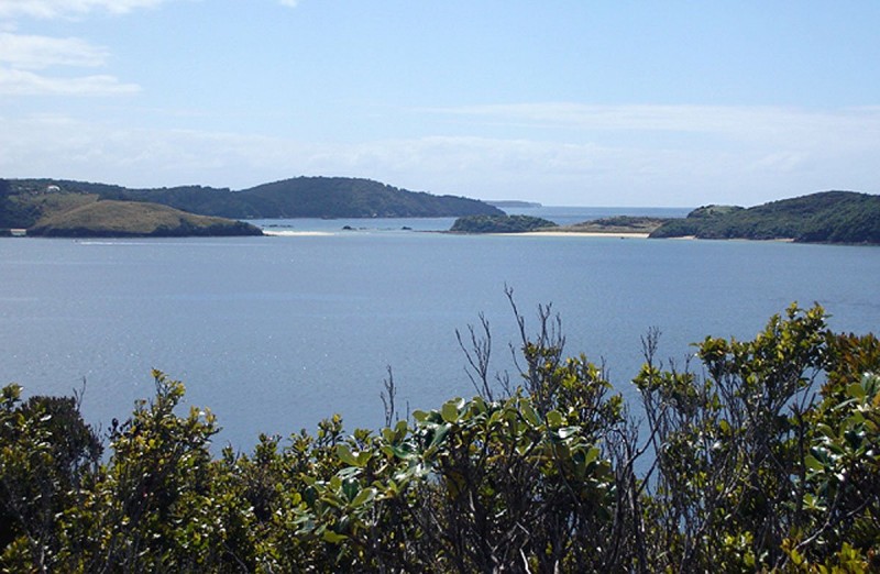 Ulva Island