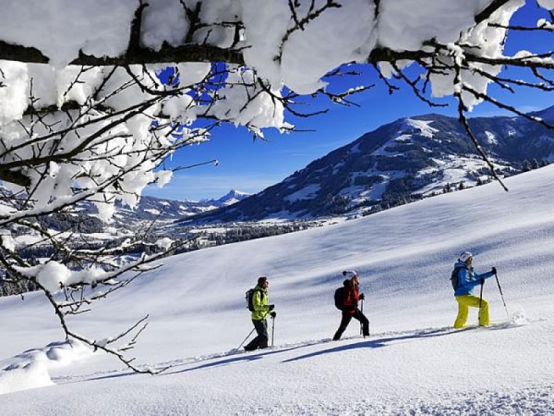Snowshoeing