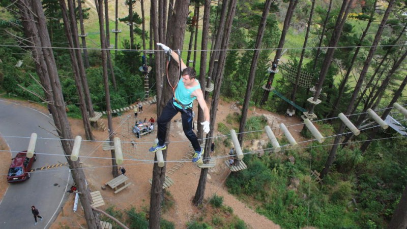 Adrenalin Forest Obstacle Course