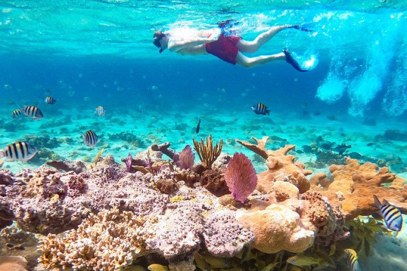 Go Scuba Diving