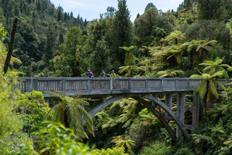 Whanganui National Park