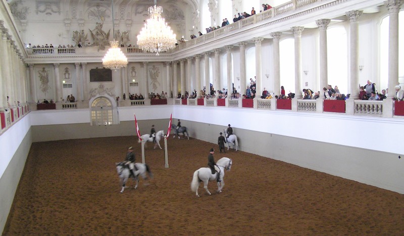 The Spanish Riding School