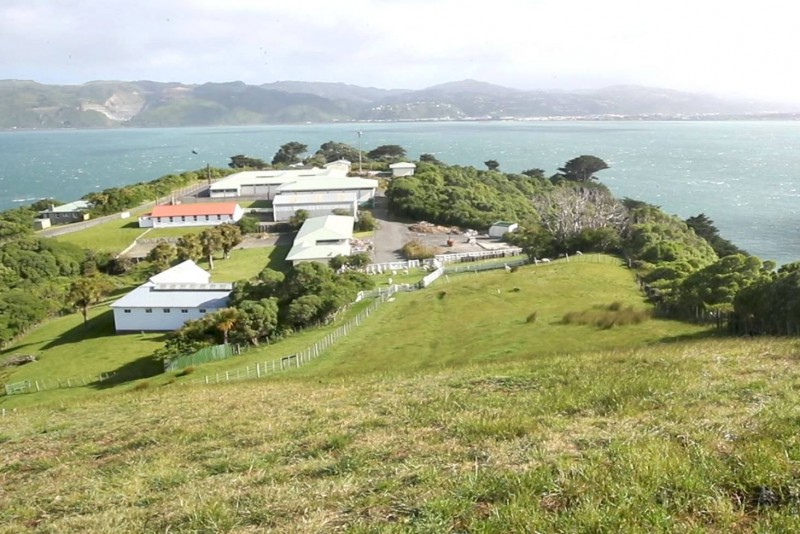 Matiu Island