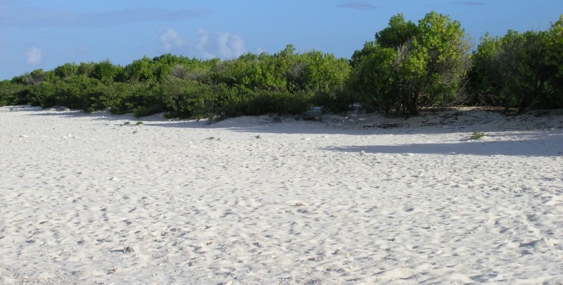 Klein Bonaire