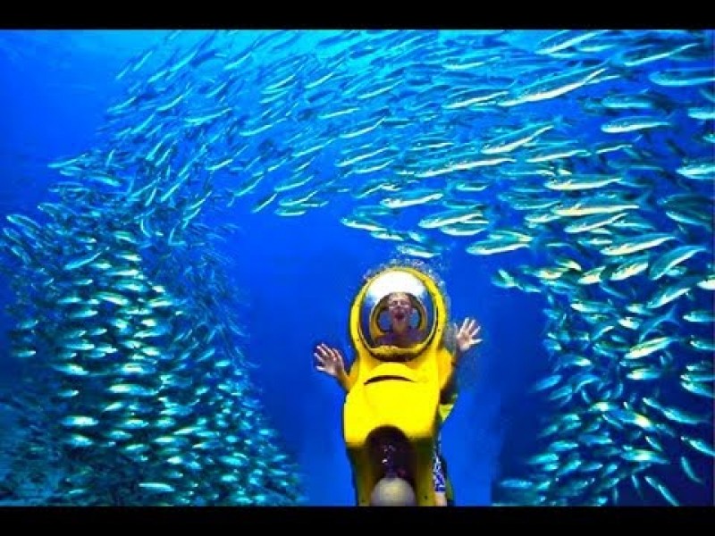Submerge in a Submarine