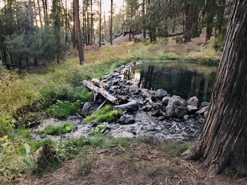McCauley Hot Springs, Jemez Mountains