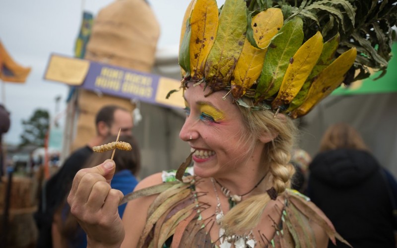 Hokitika Wildfoods Festival