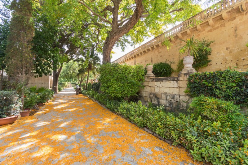San Anton Gardens