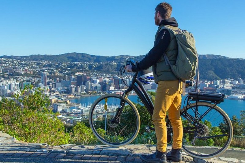 Guided Wellington Sightseeing Tour by Electric Bike