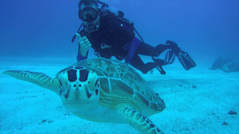 Anguilla Dive Sites