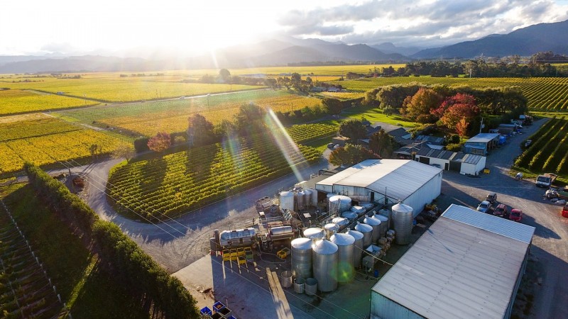 Forrest Estate Wines
