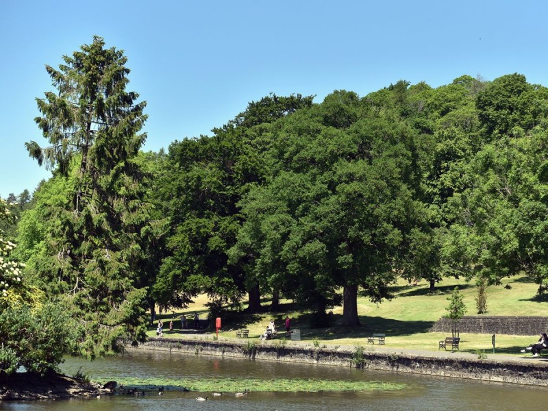 Cyfarthfa Park Lake