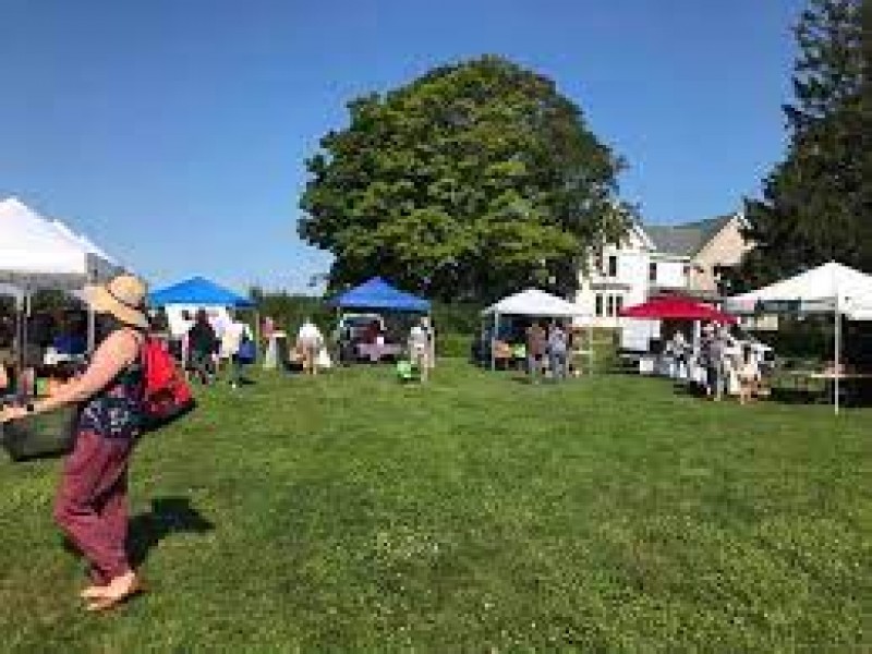 Damariscotta Farmer's Market