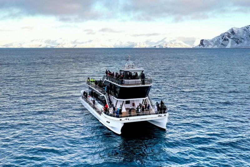 Silent Whale Watching