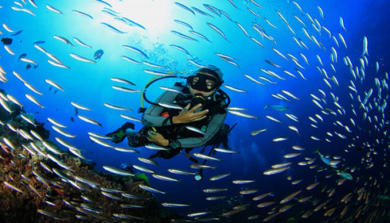 Scuba Diving