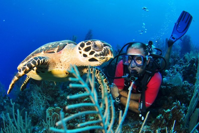 Scuba Diving