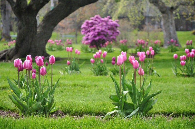 Halifax Public Gardens