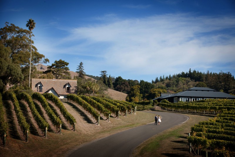 Black Barn Vineyards