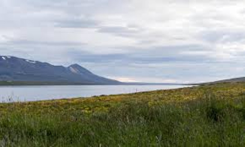Svínavatn