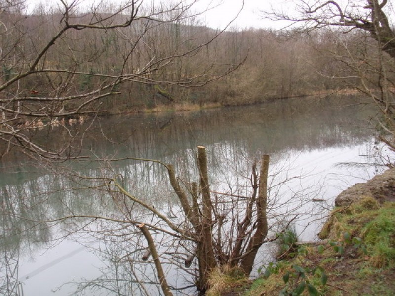 Webber's Pond Nature Reserve
