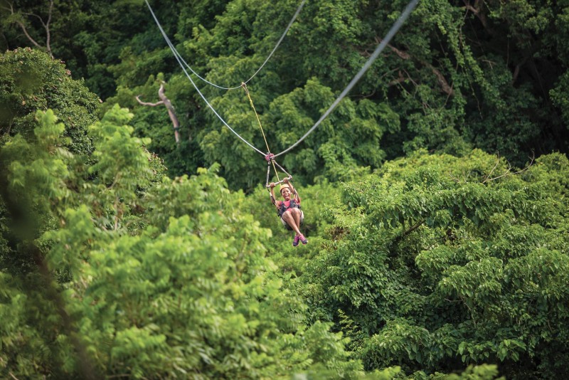 Sky Safari